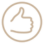 Icon 1